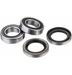 Kit roulements de roue standard FACTORY LINKS pour BETA, HUSQVARNA, KTM RR 125, TT 350 EFI, FC 450 de 2008 à 2026