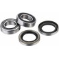 Standard FACTORY LINKS wheel bearing kit for BETA, HUSQVARNA, KTM RR 125, TT 350 EFI, FC 450 from 2008 to 2026