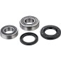 FACTORY LINKS-Hinterradlager-Satz für FANTIC, GAS GAS, YAMAHA EC 450 F, WR 450 F, YZ 250 FX von 2002 bis 2026 FACTORY LINKS-Hinterradlager-Satz für FANTIC, GAS GAS, YAMAHA EC 450 F, WR 450 F, YZ 250 FX von 2002 bis 2026