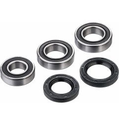 Kit de rodamientos de rueda trasera FACTORY LINKS para GAS GAS, RIEJU EC 125, EC 300 E, MC 125, XC 250, MR 300 de 2003 a 2024