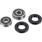 FACTORY LINKS kit de rodamientos de rueda trasera para KAWASAKI, SUZUKI KLX 140 G, KLX 140 L, KX 65 A, RM 60, RM 65 desde 2000 h