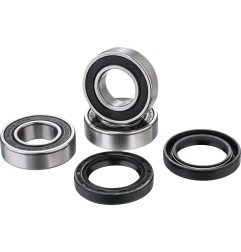 Rear wheel bearing kit FACTORY LINKS for SUZUKI RM 125, RM 250 from 2000 to 2008