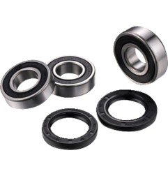 FACTORY LINKS kit de rodamiento de rueda trasera para SUZUKI DR-Z 400, DR-Z 400 S, DR-Z 400 SM de 2000 a 2019