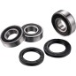 Rear wheel bearing kit FACTORY LINKS for SUZUKI DR-Z 400, DR-Z 400 S, DR-Z 400 SM from 2000 to 2019