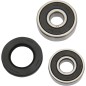 PIVOT WORKS -Satz mit Lagern und Dichtungen für das Hinterrad der HONDA CRF 100 F, CRF 125 F, CRF 70 F und CRF 80 F von 1982 bis