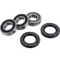 Kit de rodamientos de rueda trasera FACTORY LINKS para YAMAHA WR 400 F, YZ 400 F, WR 200 R, WR 250, YZ 125 de 1992 a 1998