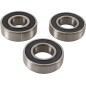 Rear wheel bearing kit PIVOT WORKS for GAS GAS, HUSQVARNA, KTM MC 50, EE 5, TC 50, SX 50 MINI from 2015 to 2024