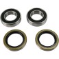Kit de rodamientos y retenes de rueda trasera PIVOT WORKS para GAS GAS, HUSABERG, HUSQVARNA, KAWASAKI, KTM EC 250 F de 1998 a 20