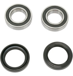 PIVOT WORKS -Satz mit Lagern und Dichtungen für das Vorderrad von HONDA, KTM CR 125 R, CRF 450 X, SX 125, SX 520 von 1995 bis 20