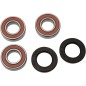 PIVOT WORKS-Satz mit Lagern und Dichtungen für das Hinterrad der KAWASAKI KX 125 K, KX 125 L, KX 250 und KX 500 E der Baujahre