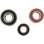 Rear wheel bearings and seals kit PIVOT WORKS for KAWASAKI KLR 650 from 1987 to 2016