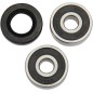 PIVOT WORKS -Satz mit Lagern und Dichtungen für das Hinterrad der YAMAHA TT-R 125, TT-R 125 E, TT-R 125 L und TT-R 125 LE der Mo PIVOT WORKS -Satz mit Lagern und Dichtungen für das Hinterrad der YAMAHA TT-R 125, TT-R 125 E, TT-R 125 L und TT-R 125 LE der Mo