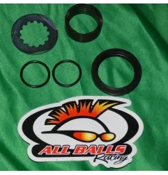 ALL BALLS -Überholungssatz für Getriebeausgangswelle für FANTIC, GAS GAS, YAMAHA WRF, YFZ 400, 426, 450 von 1998 bis 2024