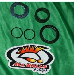 ALL BALLS -Überholungssatz für Getriebeausgangswelle für FANTIC, GAS GAS, YAMAHA WRF, YFZ 400, 426, 450 von 1998 bis 2024