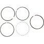 Juego de segmentos de recambio Ø 54,50 mm para HONDA, KAWASAKI, SUZUKI, YAMAHA CRF 100, XR 100, KLX 110, DR-Z 110 de 1981 a 2026 Juego de segmentos de recambio Ø 54,50 mm para HONDA, KAWASAKI, SUZUKI, YAMAHA CRF 100, XR 100, KLX 110, DR-Z 110 de 1981 a 2026