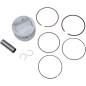 Forged Series piston kit for SUZUKI DR 350 from 1990 to 1999
