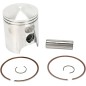 Piston kit for YAMAHA DT 100, LT-2 100, MX 100 from 1971 to 1983