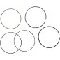 Piston rings Ø 96.00 mm for HONDA, KAWASAKI, SUZUKI CRF 450, KX 450, RM-Z 450, RMX 450 from 2006 to 2020 Piston rings Ø 96.00 mm for HONDA, KAWASAKI, SUZUKI CRF 450, KX 450, RM-Z 450, RMX 450 from 2006 to 2020
