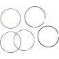 Piston rings Ø 77.00 mm for KAWASAKI, SUZUKI, TM RACING, YAMAHA KX 250, RM-Z 250, MX 250, WR 250, YZ 250 from 2007 to 2017