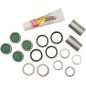 Kit de roulements de bras oscillant PIVOT WORKS pour BETA, GAS GAS RR 125, RR 200, RR 250, RR 300, RR 350, RR 390 de 2021 à 2024