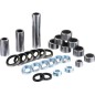 Kit de cojinetes de biela FACTORY LINKS para BETA RR 125, RR 200, RR 250, RR 300, RR 390, RR 400 de 2006 a 2026