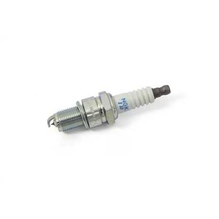 Standard spark plug NGK for EVO 125, EVO 250, EVO 300, XTRAINER 250, XTRAINER 300 from 2015 to 2026 - Ref. 95476