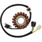 Stator MOOSE for SUZUKI DR-Z 250 from 2001 to 2007