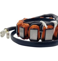 RICKS MOTORSPORT -Stator „Hot Shot“ für GAS GAS, HUSQVARNA, KTM EX 250, EX 300, MC 250, TC 250 der Modelljahre 2023 bis 2025 – A