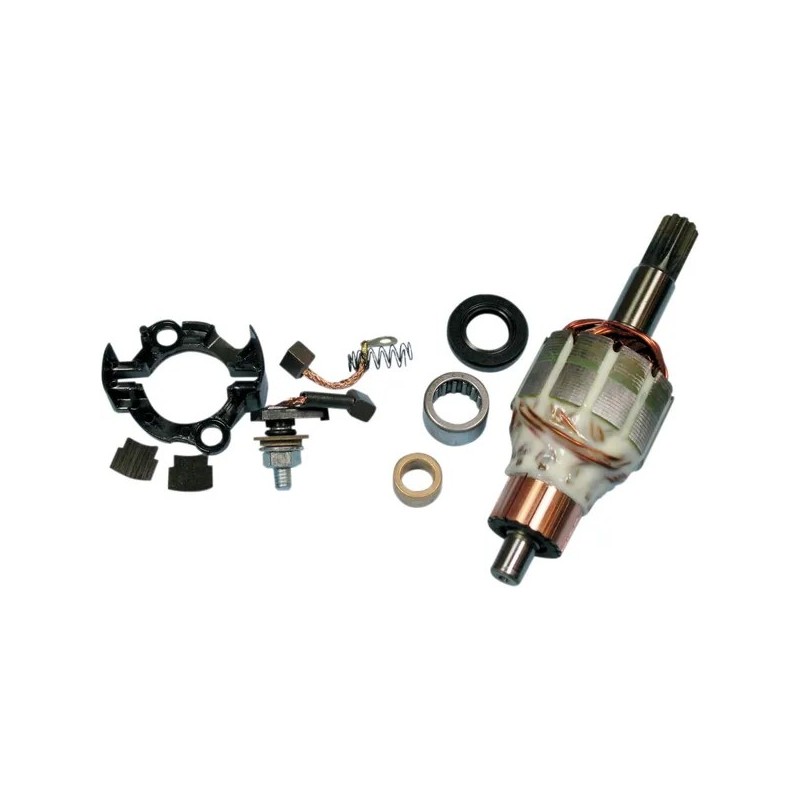 Kit de reconditionnement de démarreur RICKS MOTORSPORT pour HONDA, HUSABERG, KTM CRF 450, TE 250, XC 250 de 2005 à 2013