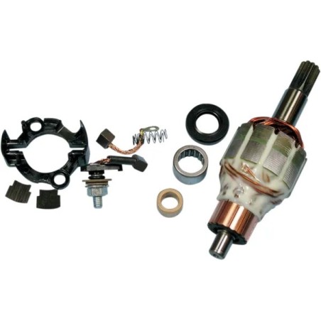 Starter reconditioning kit RICKS MOTORSPORT for HONDA, HUSABERG, KTM CRF 450, TE 250, XC 250 from 2005 to 2013