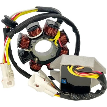 Kit de carga compatible con iones de litio RICKS MOTORSPORT para HUSQVARNA, KTM TE 250, TE 300, TX 300, EXC 250 de 2017 a 2019