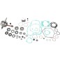 Complete engine rebuild kit for 2-stroke VERTEX for KAWASAKI KX 100 from 2006 to 2013