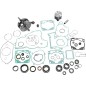 Kit completo de reconstrucción de motor de 2 tiempos VERTEX para KTM EXC 300, XC 300, XC-W 300 de 2004 a 2007