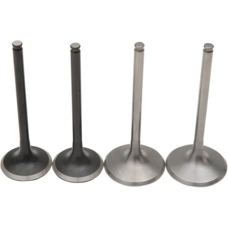 Kit soupapes Pro MOOSE pour HONDA CRF 450 de 2002 à 2006