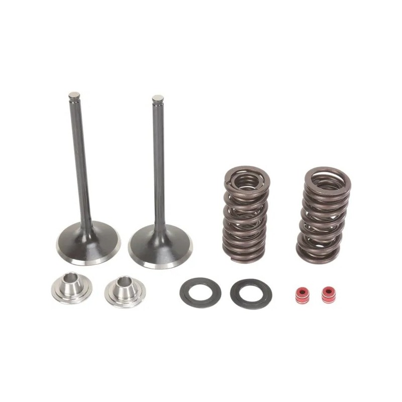 Inlet valve and spring kit MOOSE for HONDA CRF 250 from 2004 to 2018