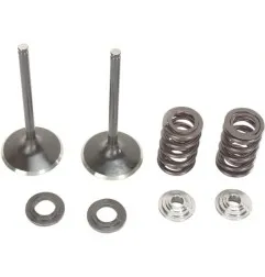 MOOSE -Einlassventil- und Federsatz für HONDA CRF 450, TRX 450 von 2002 bis 2014 – Art.-Nr. M30-31210