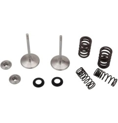 Inlet valve and spring kit MOOSE for HONDA, RED MOTO CRF 450 from 2017 to 2023