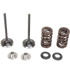 Inlet valve and spring kit MOOSE for KAWASAKI KX 250 from 2004 to 2016