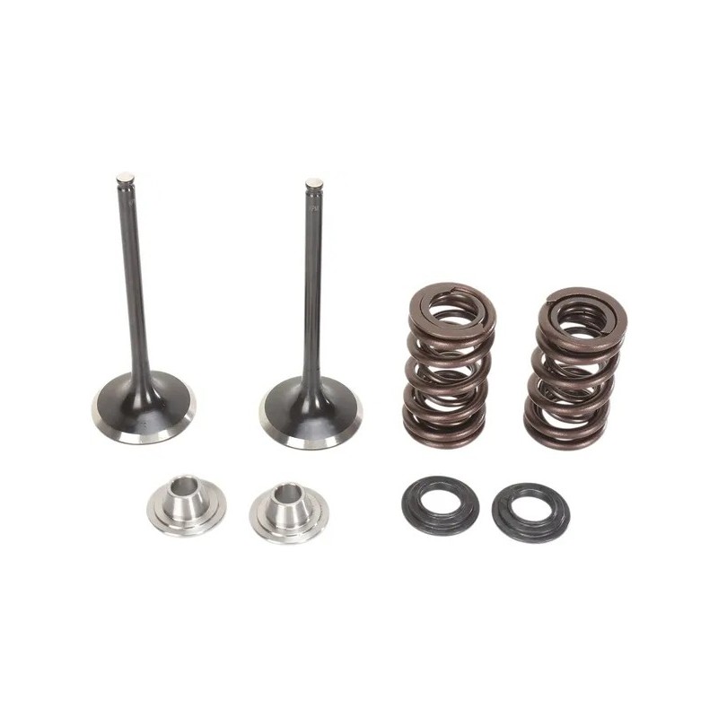 Inlet valve and spring kit MOOSE for KAWASAKI KX 250 from 2004 to 2016