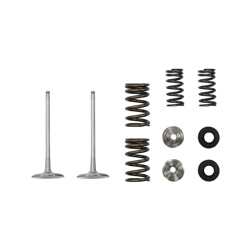 Kit de válvula de admisión y muelle MOOSE para KAWASAKI KX 250 de 2020 a 2024