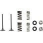 Exhaust valve and spring kit MOOSE for HONDA CRF 250, CRF 450 from 2018 to 2021