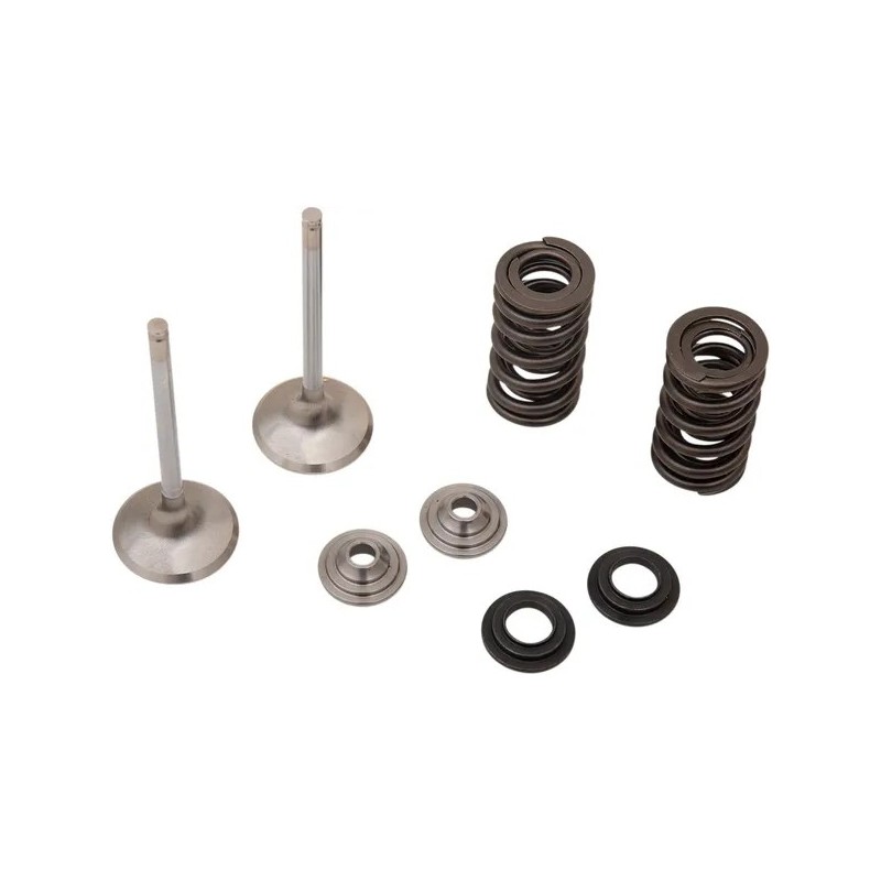 Exhaust valve and spring kit MOOSE for HONDA, RED MOTO CRF 450 from 2017 to 2023