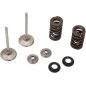 Exhaust valve and spring kit MOOSE for HONDA, RED MOTO CRF 450 from 2017 to 2023