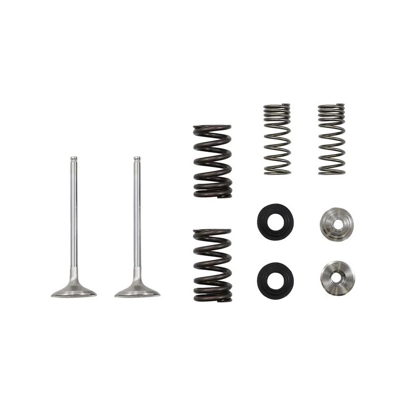 Kit de válvula de escape y muelle MOOSE para KAWASAKI KX 250 de 2020 a 2024