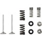Exhaust valve and spring kit MOOSE for KAWASAKI KX 250 from 2020 to 2024