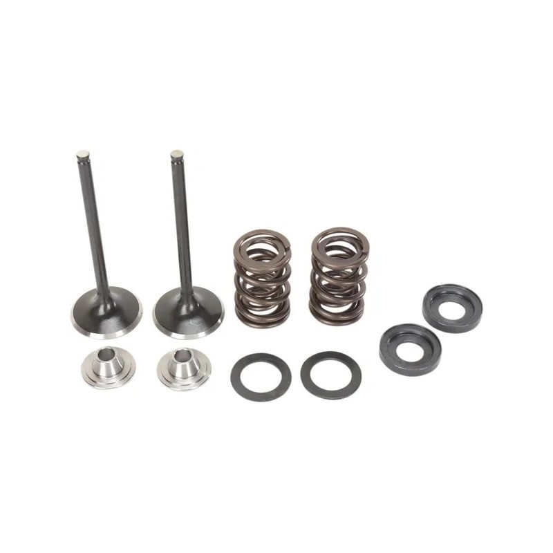 Kit soupape d’admission et ressort MOOSE pour KTM EXC 400, EXC 450, EXC 520, EXC 525, EXC-G 400, EXC-G 450 de 2000 à 2009
