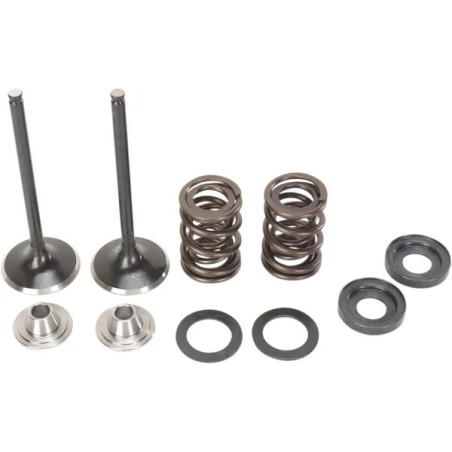Kit de válvula de admisión y muelle MOOSE para KTM EXC 400, EXC 450, EXC 520, EXC 525, EXC-G 400, EXC-G 450 de 2000 a 2009
