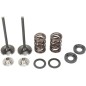 Inlet valve and spring kit MOOSE for KTM EXC 400, EXC 450, EXC 520, EXC 525, EXC-G 400, EXC-G 450 from 2000 to 2009