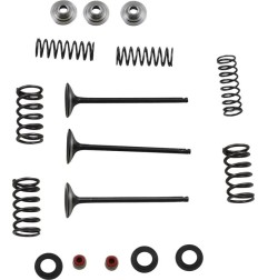 Inlet valve and spring kit MOOSE for YAMAHA WR 250, YZ 250 from 2002 to 2013