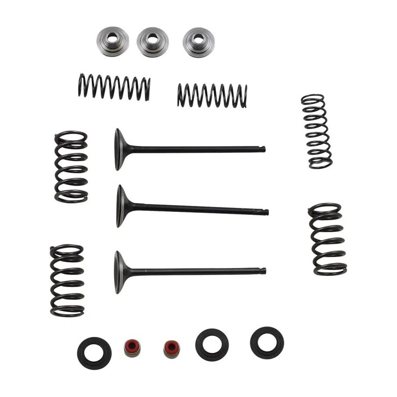 Kit de válvula de admisión y muelle MOOSE para YAMAHA WR 250, YZ 250 de 2002 a 2013